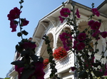 Altstadt Sassnitz auf Rügen in Nähe Appartement 204 mer veille Fürstenhof