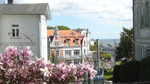 Ostsee Rügen Sassnitz Ferienwohnung Fürstenhof