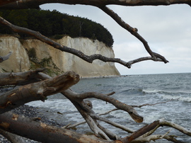 Rügen Sassnitz Jasmund