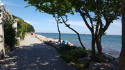 Rügen Sassnitz Nationalpark Jasmund