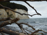 Rügen Sassnitz Nationalpark Jasmund