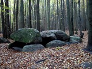 Rügen Sassnitz Nationalpark Jasmund